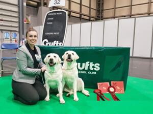Crufts 2023