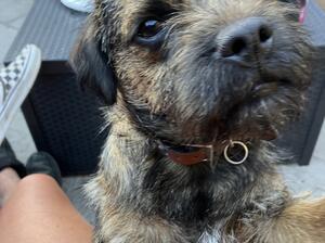 Pip