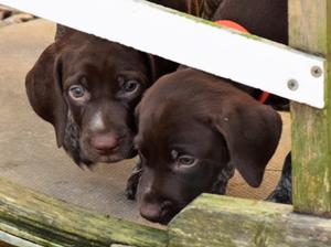 Such lovely heads!