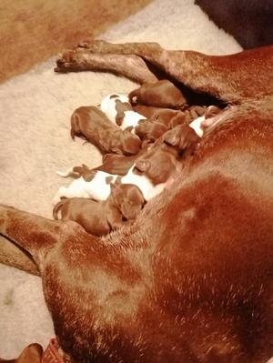 Just a couple of days old