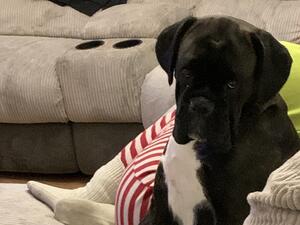 Please put the camera down