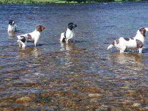 Brook, Inde, Ted & Ellie