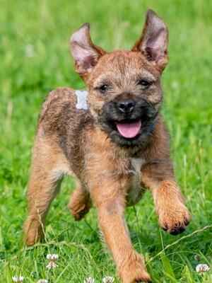 Young Maggie at training