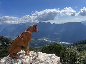 Odin on Karin Mountain, Slovenia 🇸🇮