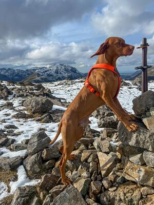 Odin on the top of Brandreth fell