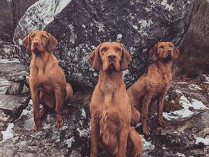 Parents (middle/right)