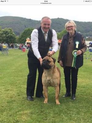 BULLMAN BEAR NESSESSITIES RCC MRS J. GUNN JUDGE