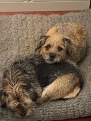 Pebble with Mum Squidge