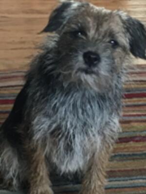 Ruby Blue (Squidge)