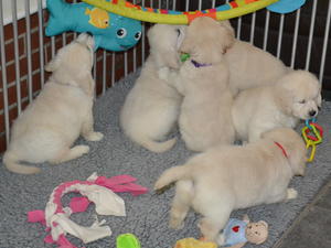Playtime