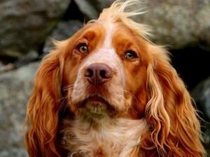 George 2 years ( current )