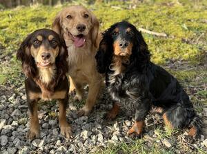 Murphy with friends