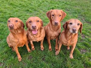 KIWI, AUNTIE, COUSIN AND MOTHER