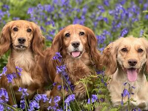 Murphy with mum and sister