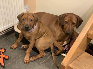 Mum’s taken my bed!