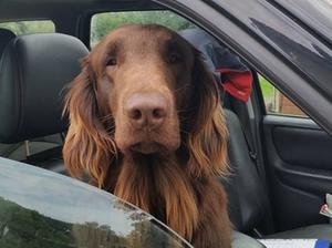 Dad 'Moby'
