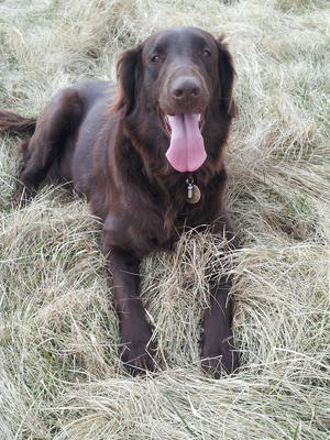 Ruby