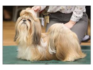 Thor the day he gained his ch title