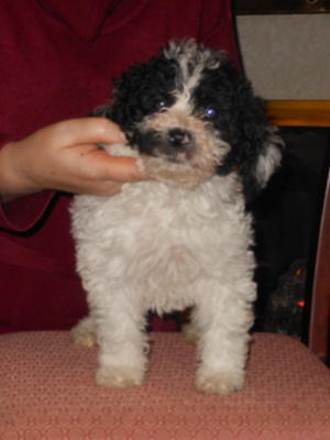 White and black girl 7 weeks