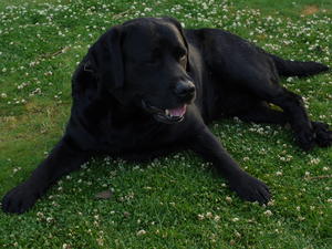 Mick relaxing