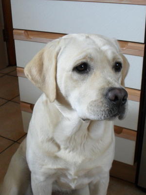 Babette at 16 months