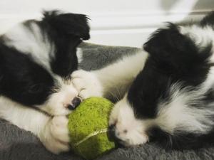 Play Time