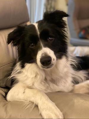 Posing