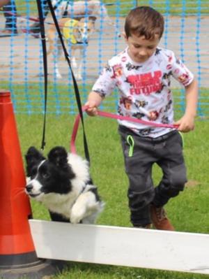 PITP 2019