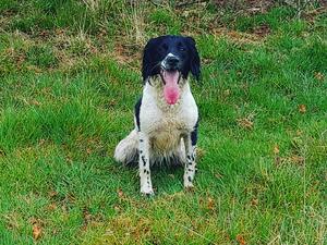 Meg