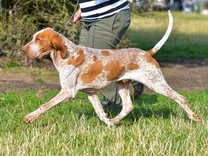 Teo On The Move