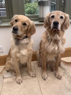 Poppy and Willow