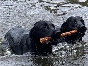 Swim with Mum