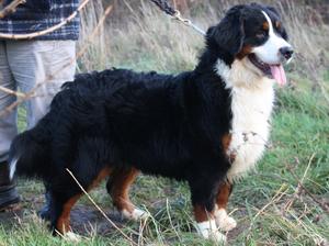 Jenta 7 months old