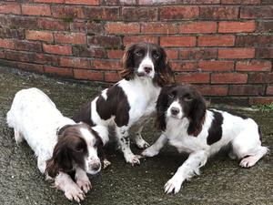 mother in the middle ,grandma right,aunt on left