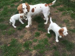 Mum with 2 of her girls