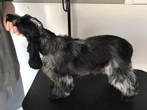 Tia at 10 months old