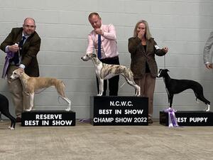 NCWC Ch Show 2022