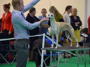 West of England Championship Show 2016