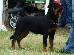 Gem at her first show