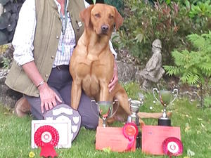 Awards Special Puppy/NDNH/Intermediate
