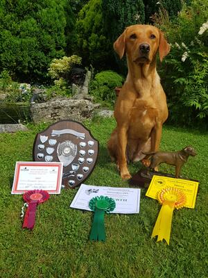 Little star competing and loving it so proud