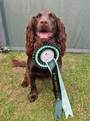Esmania Highland Fling (Nessie)