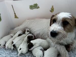 Nell, Mum to be