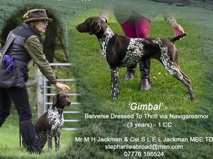 Mum, Gimbal