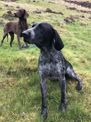 Tilly, Mum