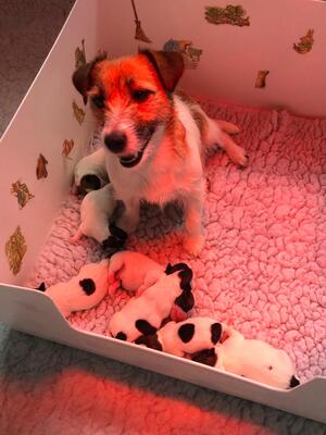 Proud Mum Corry