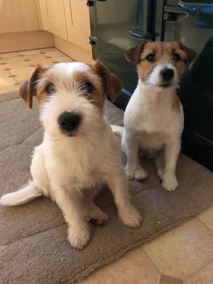 Nell and Corrie