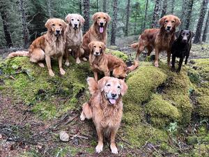 My gang