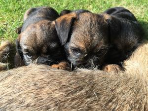 At the milk bar