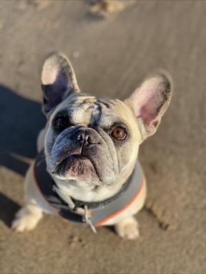 Edie at the beach